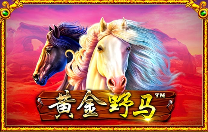 ng体育app最新版