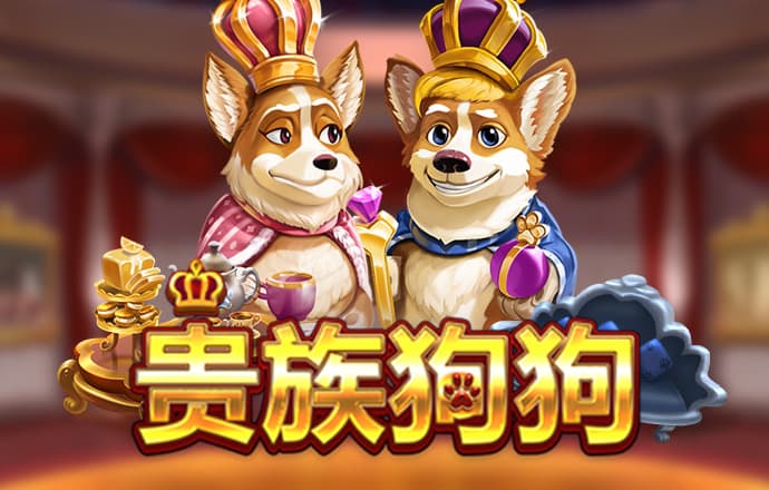 c7c7官方app登录入口